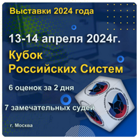 выставка кошек, кубок российских систем, рфо. кошки, спб