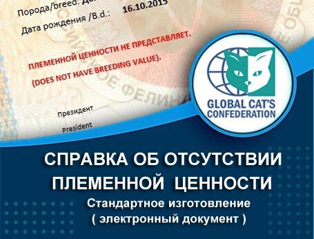 Справка об отсутствии племенной ценности для домашнего любимца